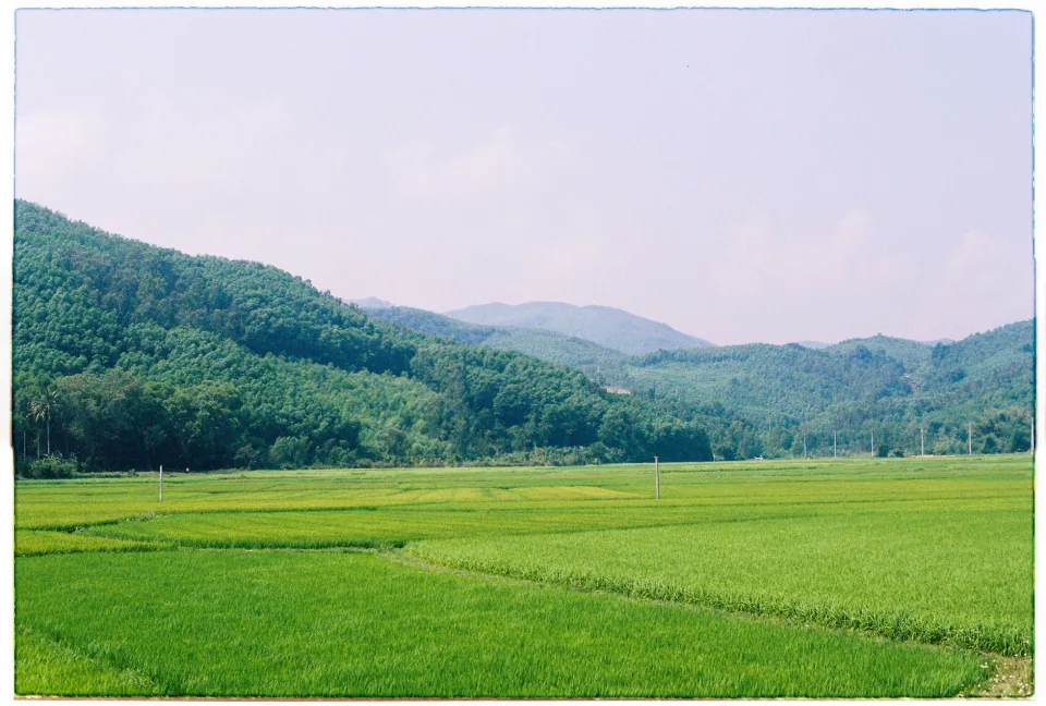 Kho gạo của Đặng Văn Đào